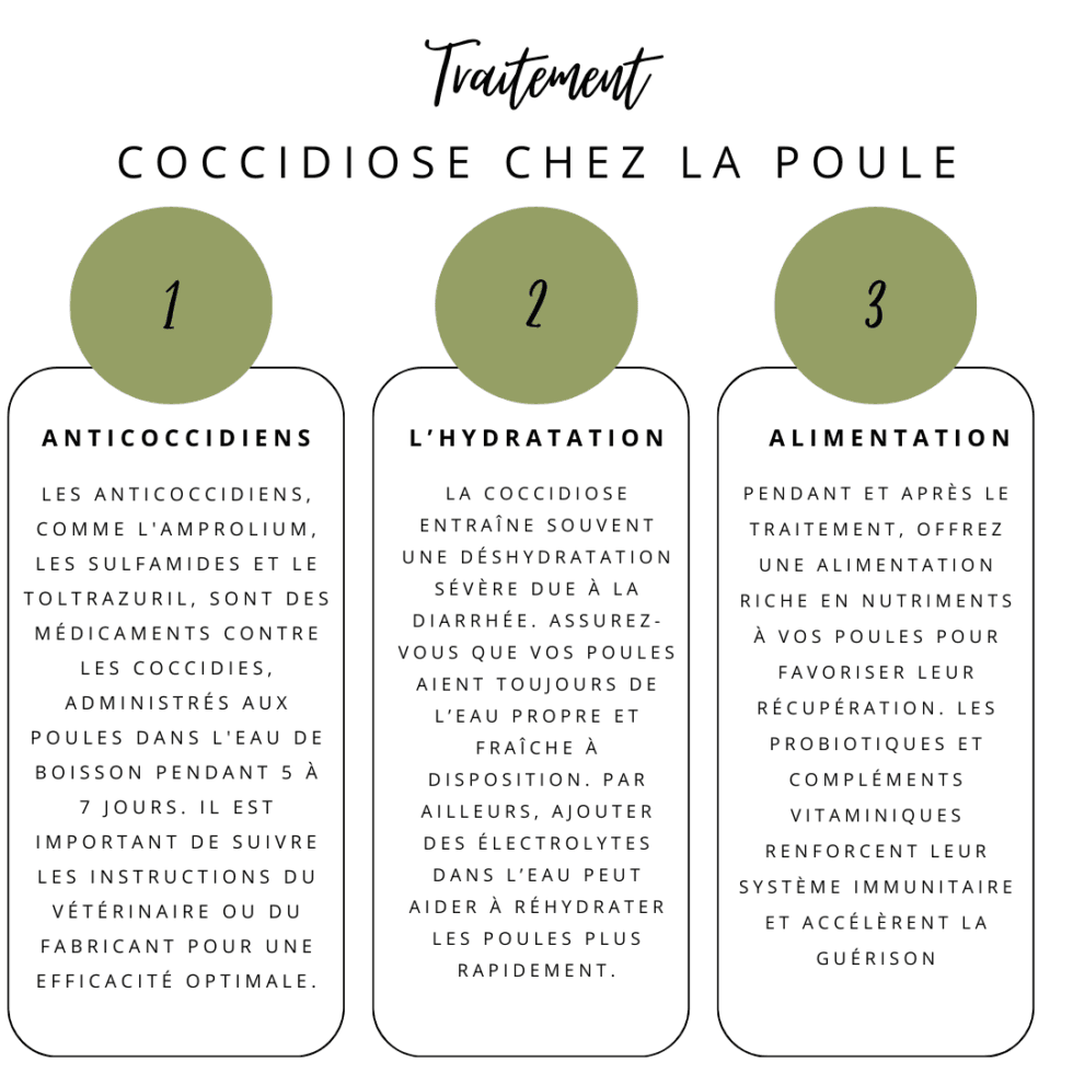 SOS Coccidiose Symptômes chez la poule Traitement — free download