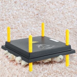 Plaque Chauffante Pour Poussins