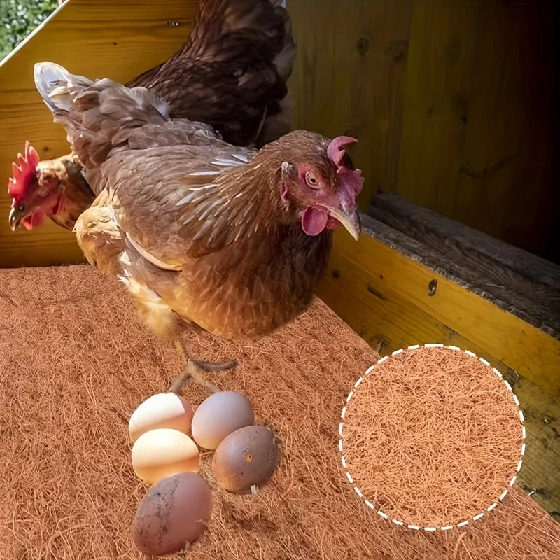Lot De 6 Tapis De Nidification En Fibre De Coco Pour Poules - 33x33 Cm, Doux, Réutilisables, Anti-casse œufs