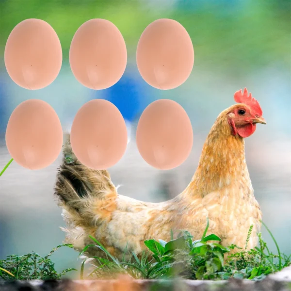 Faux œufs pour poules – Lot de 6 ou 12 œufs factices pour stimuler la ponte – Image 4