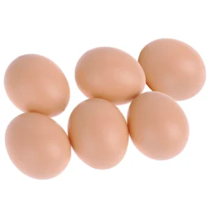 faux oeufs de poule