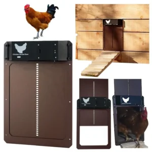 Porte automatique pour poulailler – Ouverture et fermeture avec capteur de lumière (3 coloris)