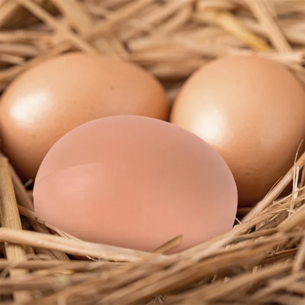 Faux œufs pour poules – Lot de 6 ou 12 œufs factices pour stimuler la ponte – Image 5
