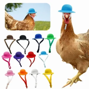 Chapeau rigolo pour poule – Accessoire déco pour vos cocottes