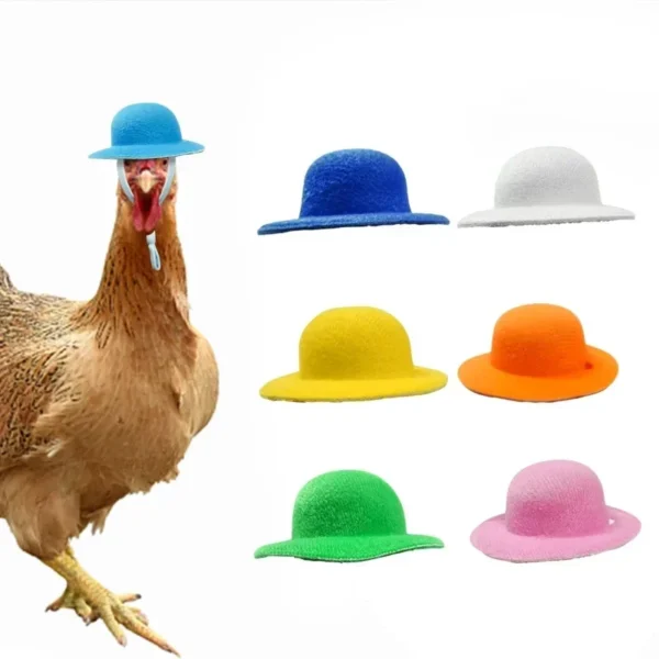 Chapeau rigolo pour poule – Accessoire déco pour vos cocottes – Image 2