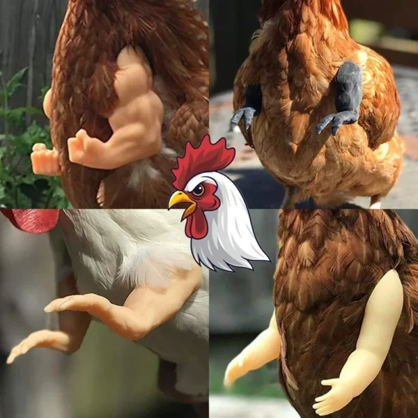 Bras pour poule – Accessoire drôle & original pour vos cocottes – Image 2