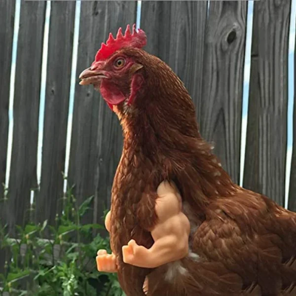 Bras pour poule – Accessoire drôle & original pour vos cocottes – Image 12