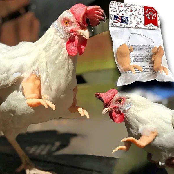 Bras pour poule – Accessoire drôle & original pour vos cocottes – Image 11
