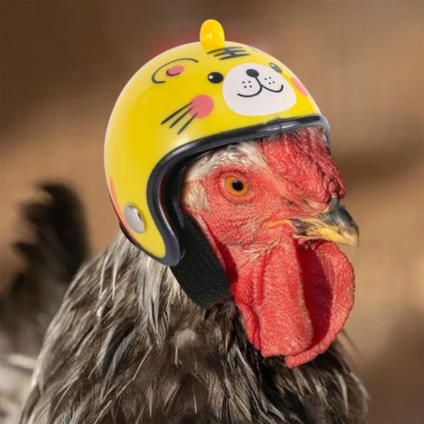Casque pour poule – Protection contre le picage et look original – Image 3