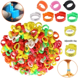 Bagues numérotées pour poules – Lot de 25 bagues réglables, couleurs au choix