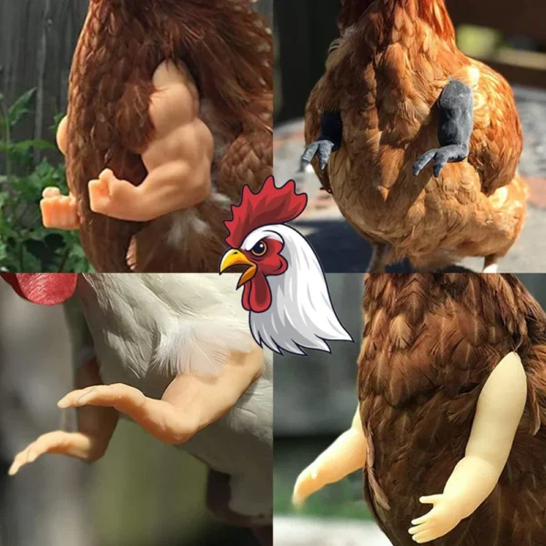 Bras pour poule – Accessoire drôle & original pour vos cocottes – Image 21