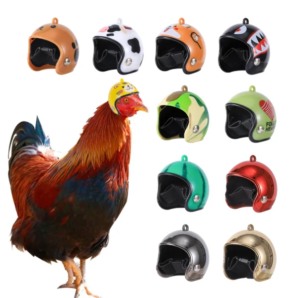 Casque pour poule – Protection contre le picage et look original