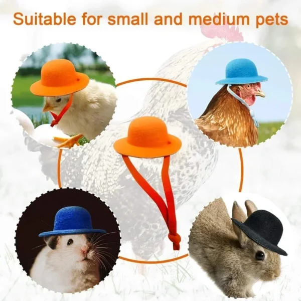 Chapeau rigolo pour poule – Accessoire déco pour vos cocottes – Image 3