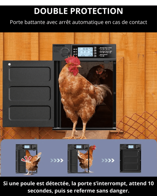 Porte automatique solaire pour poulailler – Avec capteur de lumière, minuterie et alarme anti-prédateur – Image 5
