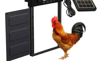 Porte automatique solaire pour poulailler : la solution idéale pour des poules en sécurité
