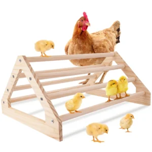 Perchoir pour poussins