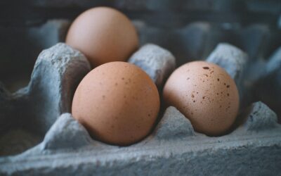 Composition de l’œuf : un trésor nutritionnel à redécouvrir