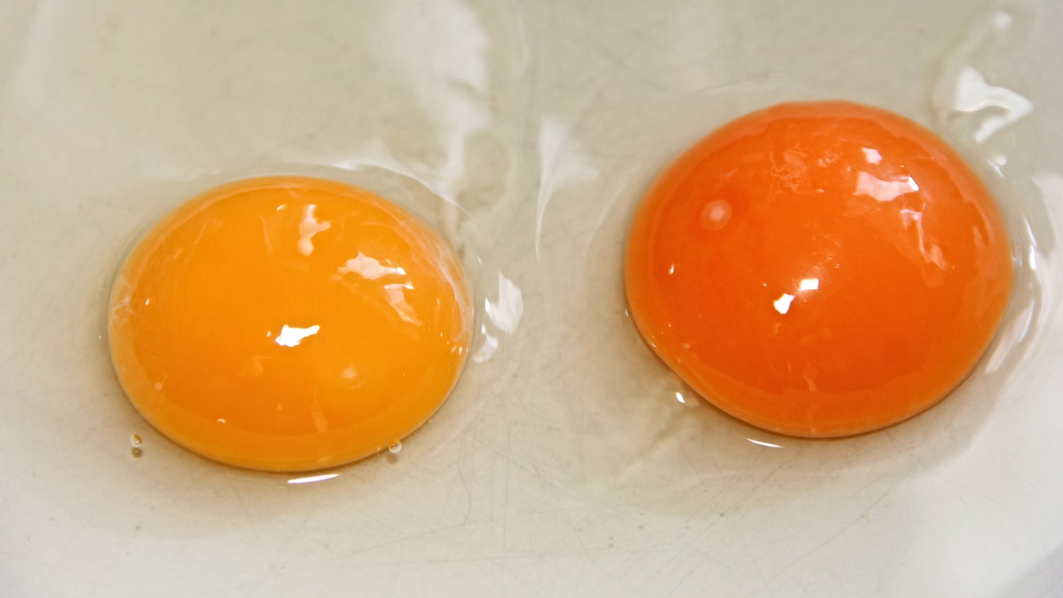 https://media-cldnry.s-nbcnews.com/image/upload/newscms/2018_23/1343686/different-color-egg-yolks-today-tease-180604.jpg